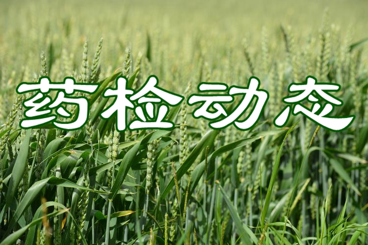 农业农村部农药检定所开展 “牢记历史铭初心，躬耕沃土忆峥嵘”主题党日活动