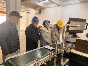 上海市农业农村委农药管理处节前调研农药生产工作