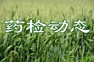 农业农村部农药检定所举办第4次新农药登记问题交流活动
